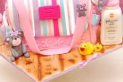 Baby_Bag_cake