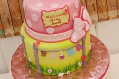 Baby_Shower_garden_cake