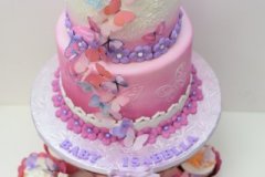 Butterlies_and_babies_baby_shower_cake.JPG