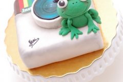 Instagram+frog_cake