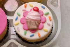 Candies_cupcakes_6