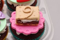 Candies_n_smores_cupcakes_1