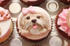 Puppies_cupcakes_4.JPG